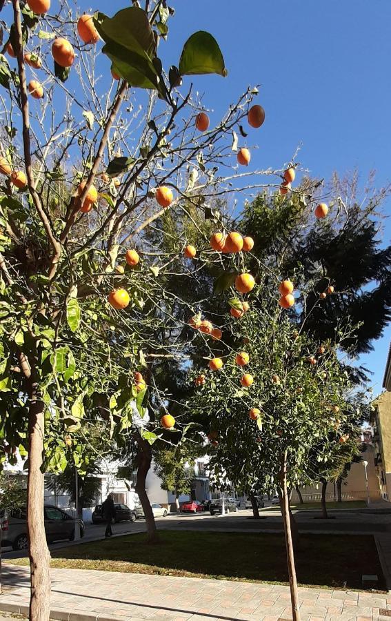 Valinor Apartments Boliches Fuengirola Dış mekan fotoğraf